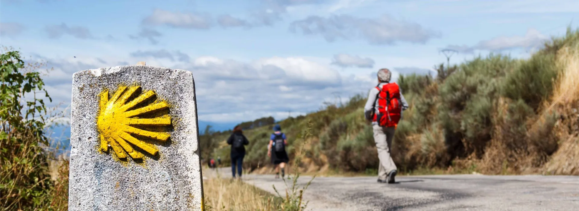 Camino de Santiago